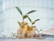 VAT – advantages of the VAT Flat Rate Scheme