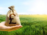 Do you have additional income streams?